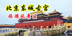 女生屌鸡巴视频网站中国北京-东城古宫旅游风景区
